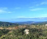 IMG_4583
