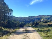 IMG_4585