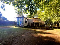 IMG_4587