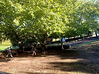 IMG_4589