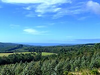 IMG_4599