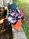 IMG_4606