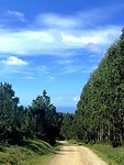 IMG_4607