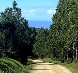 IMG_4608