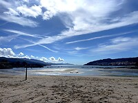 IMG_4617