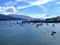 IMG_4620