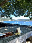 IMG_4628