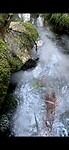 IMG_4631