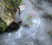 IMG_4632