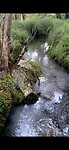 IMG_4633