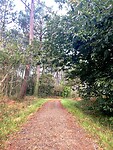 IMG_4653