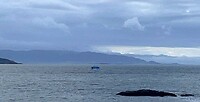 IMG_4658