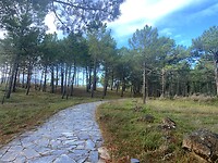 IMG_4666