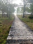 IMG_4668