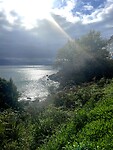 IMG_4678