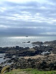 IMG_4683