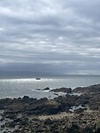 IMG_4684