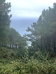 IMG_4695