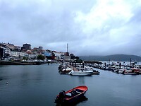 IMG_4718