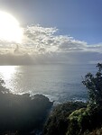 IMG_4727