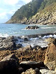 IMG_4734
