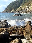 IMG_4735