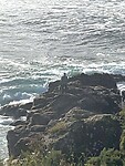 IMG_4739