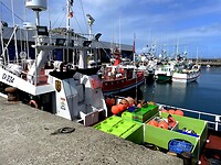 IMG_4747