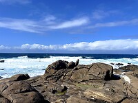 IMG_4765