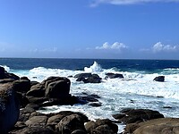 IMG_4767