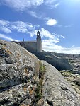 IMG_4772
