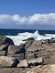 IMG_4776