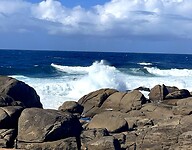 IMG_4778