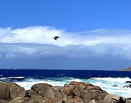 IMG_4779