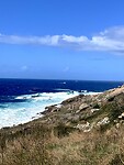 IMG_4798