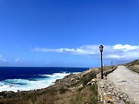 IMG_4799