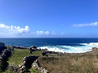 IMG_4800