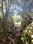 IMG_4801