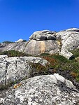 IMG_4807