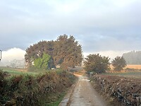 IMG_9089