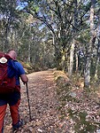 IMG_9097