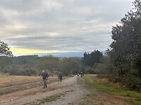 IMG_9101