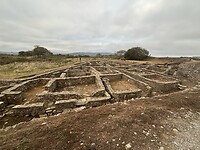 IMG_9106