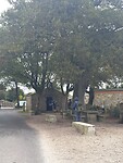 IMG_9109
