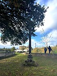 IMG_9116