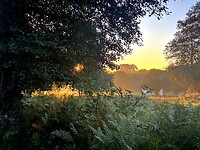 IMG_9159