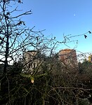IMG_9164
