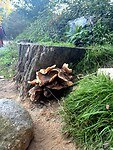IMG_9166