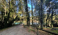 IMG_9178