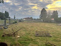 IMG_9241